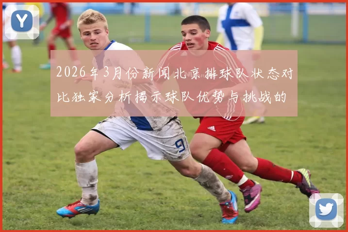 2026年3月份新闻北京排球队状态对比独家分析揭示球队优势与挑战的深度解读